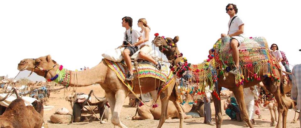 Rajasthan Tour